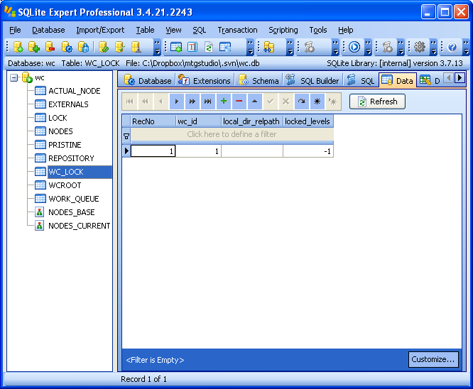 screenshot showing all entries purged from WC_LOCK