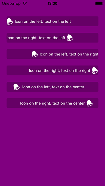 SMIconLabel image