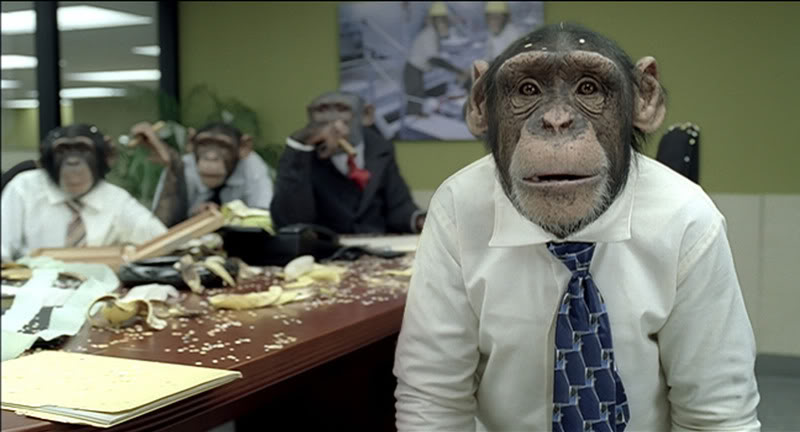 OMG Monkeys!
