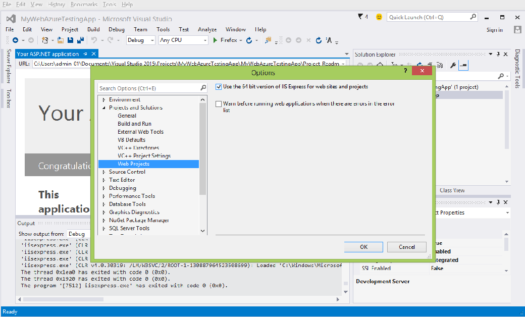 Visual Studio Web Project Options