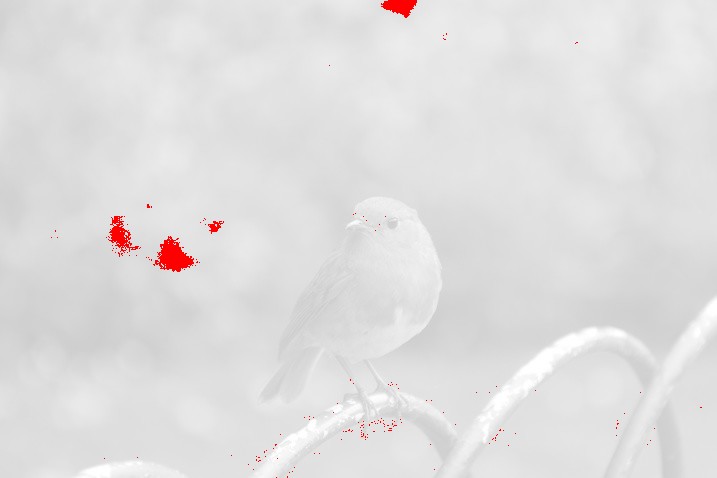 When the greyscale images are compared online (highlighted red are the differences, using a fuzz of 10%)
