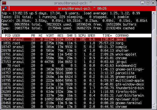 screenshot of top output