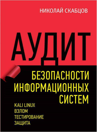 Аудит безопасности информационных систем. Н. Скабцов